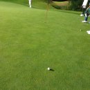 대영베이스컨트리클럽 이미지