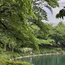 호기심 매직나도마술사 A반 | 잠실 가성비 좋은 파인다이닝 콘피에르 셀렉션 내돈내산 후기