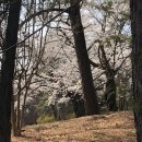 일주일_0415