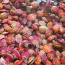 은수농장 이미지