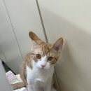 세븐첨단밸리점 이미지