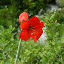 김형달농장 이미지