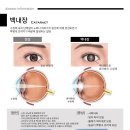 만성원광한의원 네이버블로그