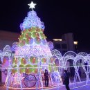 크리스마스 트리 축제 이미지