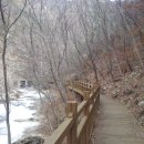 남이자연휴양림 이미지