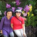 광산구노인복지관 이미지