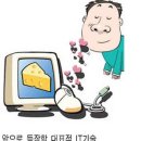최신형헤어뉴스 이미지