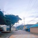 봉성집 민박 이미지