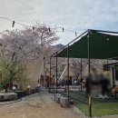 매여로 | [대구아이랑] 초례봉 사과나무 _ 캠핑식당