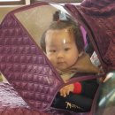 하모리-37 이미지