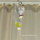 공단약국 | [국제부부 시험관]08 2차 신선이식 | 배아 수와 질이 늘었다 ! | 큰 지출은 덤... | 나...큰 기대해봐도...