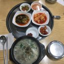 송죽잎 이미지