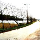 모정농장 이미지