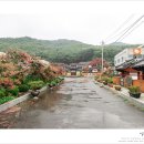 호국로 배롱나무길 이미지