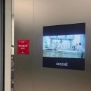 해맑은식당 | 흑백요리사 이준 스와니예 (SOIGNE) 크리스마스 스페셜 디너 페어링 후기