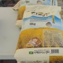 지평선의류