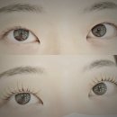전주서신동속눈썹 다다뷰티 속눈썹 펌+포인트 연장 첫 후기
