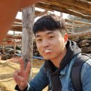 유치면번영회영농조합 | 평창 취재 후기