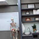 국보한의원 이미지