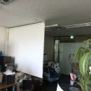 군산신풍초등학교 이미지