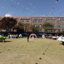 포이초등학교 이미지