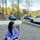 트라이온에어 | 벚꽃의 계절
