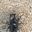 약사아이파크어린이집 이미지