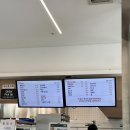 스파렉스 이미지