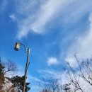 척추자세교정 걷기테라피 이미지