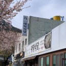 대덕식당 티스토리