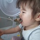 투투마트 이미지