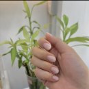 네일콤마샵네일;# | 휴가 & 워터밤 필수 코스! 바캉스 감성 가득 채운 응암동 네일샵 ‘네일콤마샵’ 2026 트렌드 아트 후기