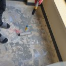 악쓰는하마 이미지