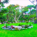 정원