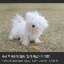 없음 이미지