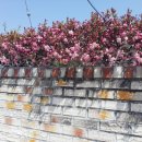 오룡보건진료소 이미지