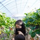 봄이네농장 이미지