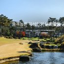 블루헤런 주식회사
