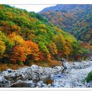 산곡하이웨이주유소 이미지