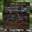 [테마2022년10월 15일 토요일] [ 홍천 ]수타사산소길단풍=은행나무숲,트레킹 트레킹안네 이미지