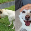 백구공원 이미지