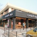콩스커피 이미지