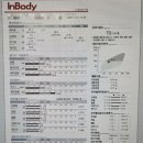 우주사 | 출산 후 다이어트 5주 기록｜신사 MPL주사 내돈내산 후기 (비포애프터 공개)