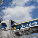 대구 먹방여행 대창불고기 진미식육식당 가격/후기/장소