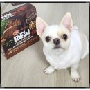 맛있고 건강한 펫 푸드 하림 더 리얼 로우&amp;그레인프리 백견백일 4차 후기