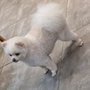 복순이네디저트카페