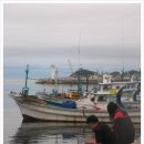 장사항활어직판장 이미지