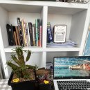 미옥농장 이미지