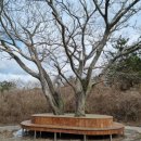 삼원목장 이미지