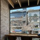 할리스 신촌점 이미지